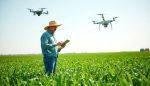 el papel de la inteligencia artificial en la gestion agricola