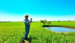 gestion del agua y recursos naturales en el sector agropecuario
